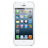 Apple iPhone 5 16Gb white - Кольчугино
